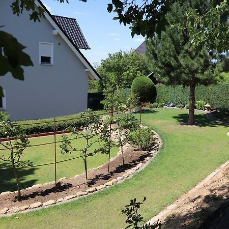 Duft- Und Parfuemfreie Allergiker-Fewo Mertendorf ภายนอก รูปภาพ