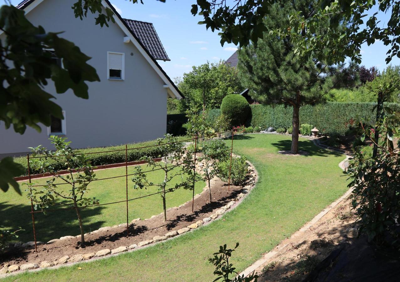 Duft- Und Parfuemfreie Allergiker-Fewo Mertendorf ภายนอก รูปภาพ